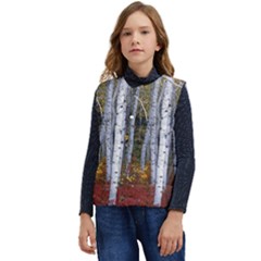 White Birch Trees Autumn Kid s Button Up Puffer Vest	