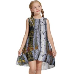 White Birch Trees Autumn Kids  Frill Swing Dress by Perong