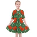 Poppy Fierce Wolf Poppies Bud Kids  All Frills Chiffon Dress View1