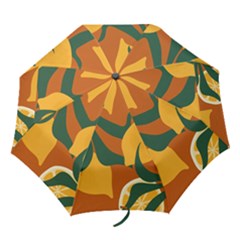 Lemon Citrus Fruit Summer Painting Drawing Folding Umbrellas by Grandong