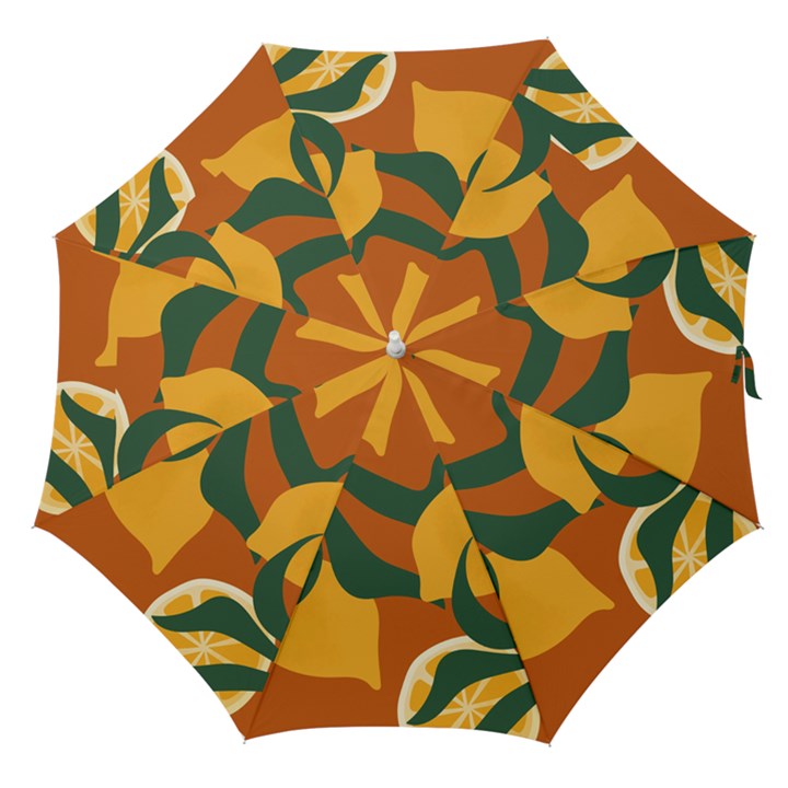 Lemon Citrus Fruit Summer Painting Drawing Straight Umbrellas