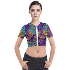 Illustration Graphics Art Short Sleeve Cropped Jacket