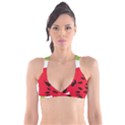 Watermelon Black Green Melon Red Plunge Bikini Top View1