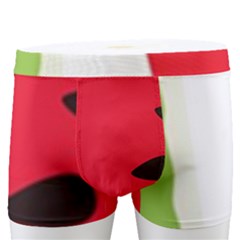 Watermelon Black Green Melon Red Men s Boxer Briefs by Cemarart