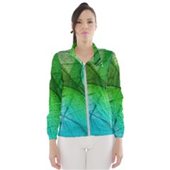 3d Leaves Texture Sheet Blue Green Women s Windbreaker