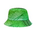 3d Leaves Texture Sheet Blue Green Bucket Hat View1