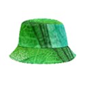 3d Leaves Texture Sheet Blue Green Bucket Hat View2