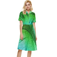 3d Leaves Texture Sheet Blue Green Button Top Knee Length Dress