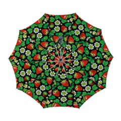 Strawberries Pattern Automatic Folding Umbrella With Case (large) by Salmanaz77