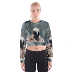 Digital Rebel  Cropped Sweatshirt