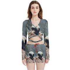 Digital Rebel  Velvet Wrap Crop Top And Shorts Set by 1xmerch