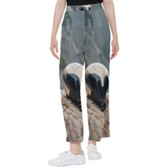 Digital Rebel  Women s Pants 