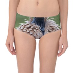 Digital Rebel (14) Mid-waist Bikini Bottoms by 1xmerch