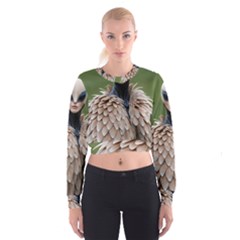 Digital Rebel (14) Cropped Sweatshirt