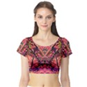 Trippy Garland Short Sleeve Crop Top View1