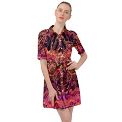 Trippy Garland Belted Shirt Dress