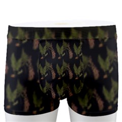 Fern Pattern 2 Black Men s Boxer Briefs by snowwhitegirl