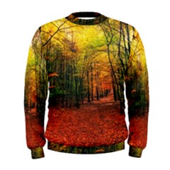 Forest Woods Autumn Nature Men s Sweatshirt