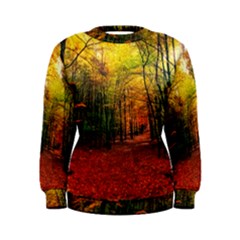 Forest Woods Autumn Nature Women s Sweatshirt