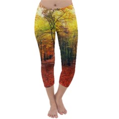 Forest Woods Autumn Nature Capri Winter Leggings 