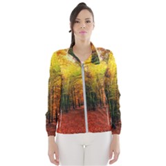 Forest Woods Autumn Nature Women s Windbreaker