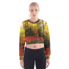 Forest Woods Autumn Nature Cropped Sweatshirt