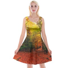 Forest Woods Autumn Nature Reversible Velvet Sleeveless Dress