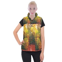 Forest Woods Autumn Nature Women s Button Up Vest