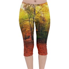 Forest Woods Autumn Nature Velvet Capri Leggings  by Proyonanggan