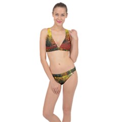 Forest Woods Autumn Nature Classic Banded Bikini Set  by Proyonanggan