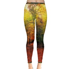 Forest Woods Autumn Nature Inside Out Leggings by Proyonanggan