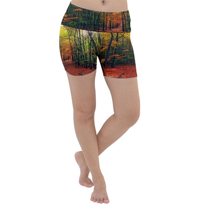 Forest Woods Autumn Nature Lightweight Velour Yoga Shorts