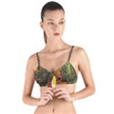 Forest Woods Autumn Nature Tie Up Cut Bikini Top View1