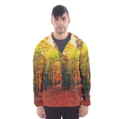 Forest Woods Autumn Nature Men s Hooded Windbreaker