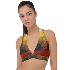 Forest Woods Autumn Nature Halter Plunge Bikini Top by Proyonanggan