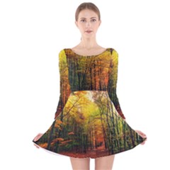 Forest Woods Autumn Nature Long Sleeve Velvet Skater Dress