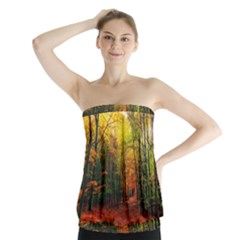 Forest Woods Autumn Nature Strapless Top by Proyonanggan