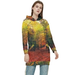 Forest Woods Autumn Nature Women s Long Oversized Pullover Hoodie by Proyonanggan