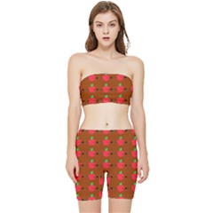 Apple Arrow Pattern Design Drawing Stretch Shorts And Tube Top Set by Proyonanggan