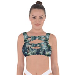 Underwater Coral Life Bandaged Up Bikini Top by Apenda