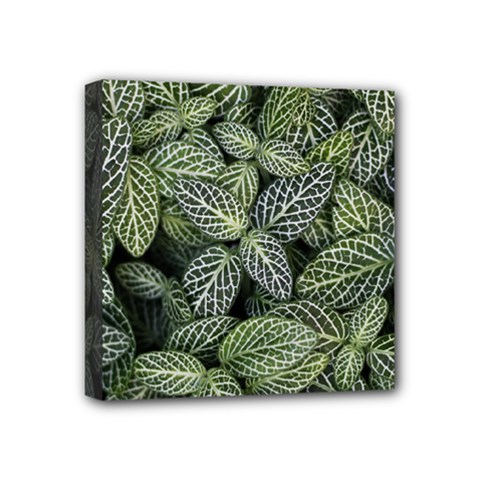 Leaves Foliage Botany Plant Mini Canvas 4  X 4  (stretched)