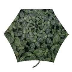 Leaves Foliage Botany Plant Mini Folding Umbrellas