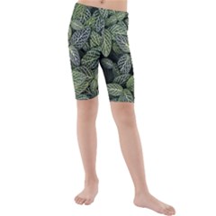 Leaves Foliage Botany Plant Kids  Mid Length Swim Shorts