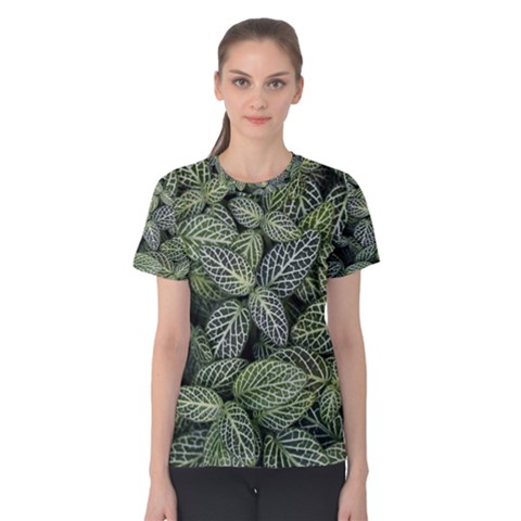 Leaves Foliage Botany Plant Women s Cotton T-shirt by Maspions