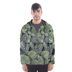 Leaves Foliage Botany Plant Men s Hooded Windbreaker