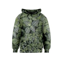 Leaves Foliage Botany Plant Kids  Pullover Hoodie