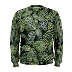 Leaves Foliage Botany Plant Men s Sweatshirt