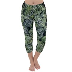 Leaves Foliage Botany Plant Capri Winter Leggings 