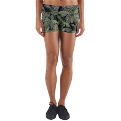 Leaves Foliage Botany Plant Yoga Shorts