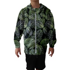 Leaves Foliage Botany Plant Kids  Hooded Windbreaker